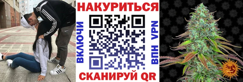 Канабис план  Удачный 